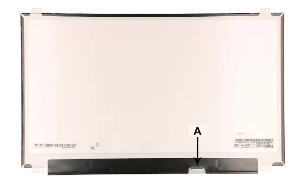 Screen 156CB